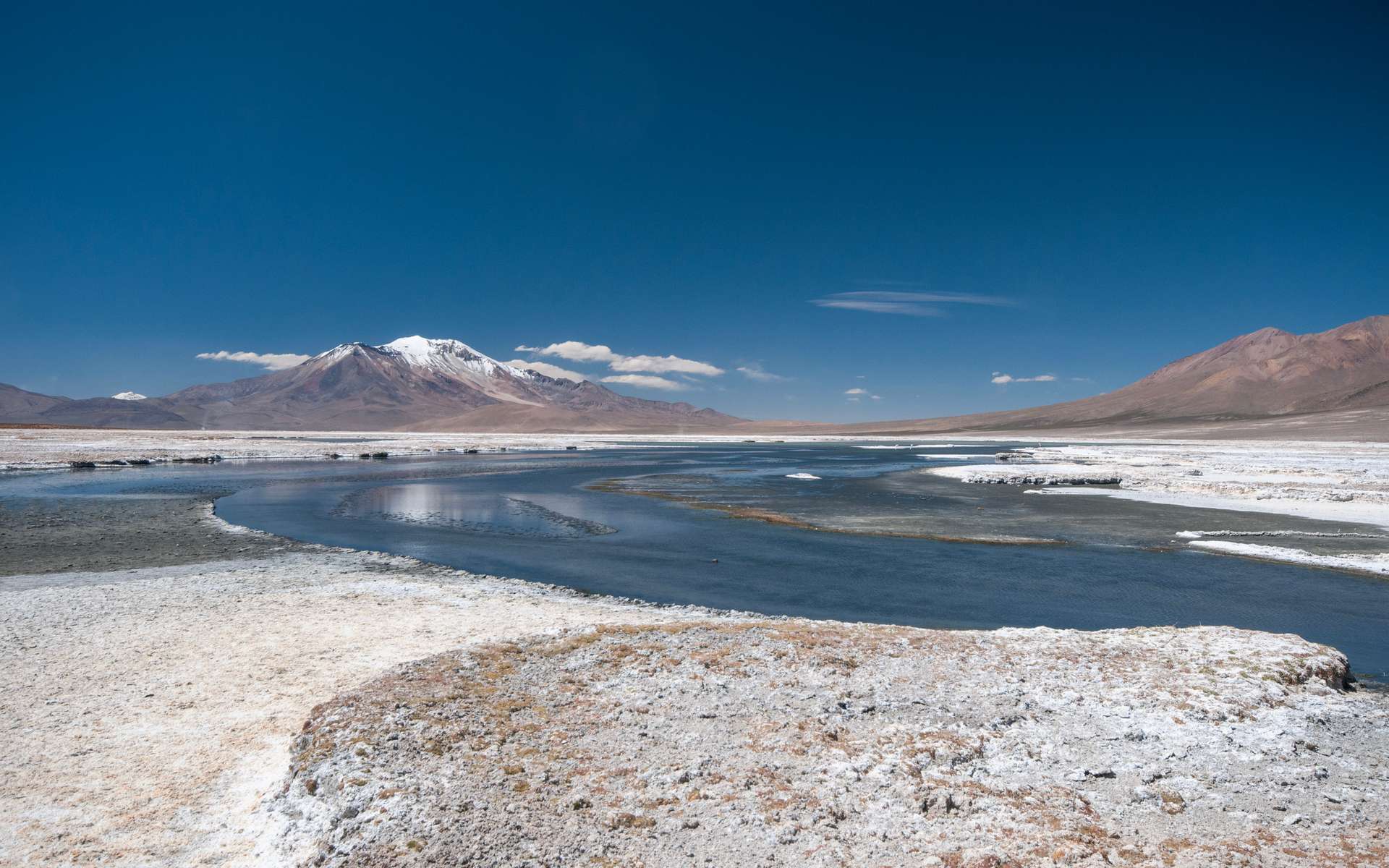 Cette étude dévoile la face sombre de l’or blanc de la transition énergétique