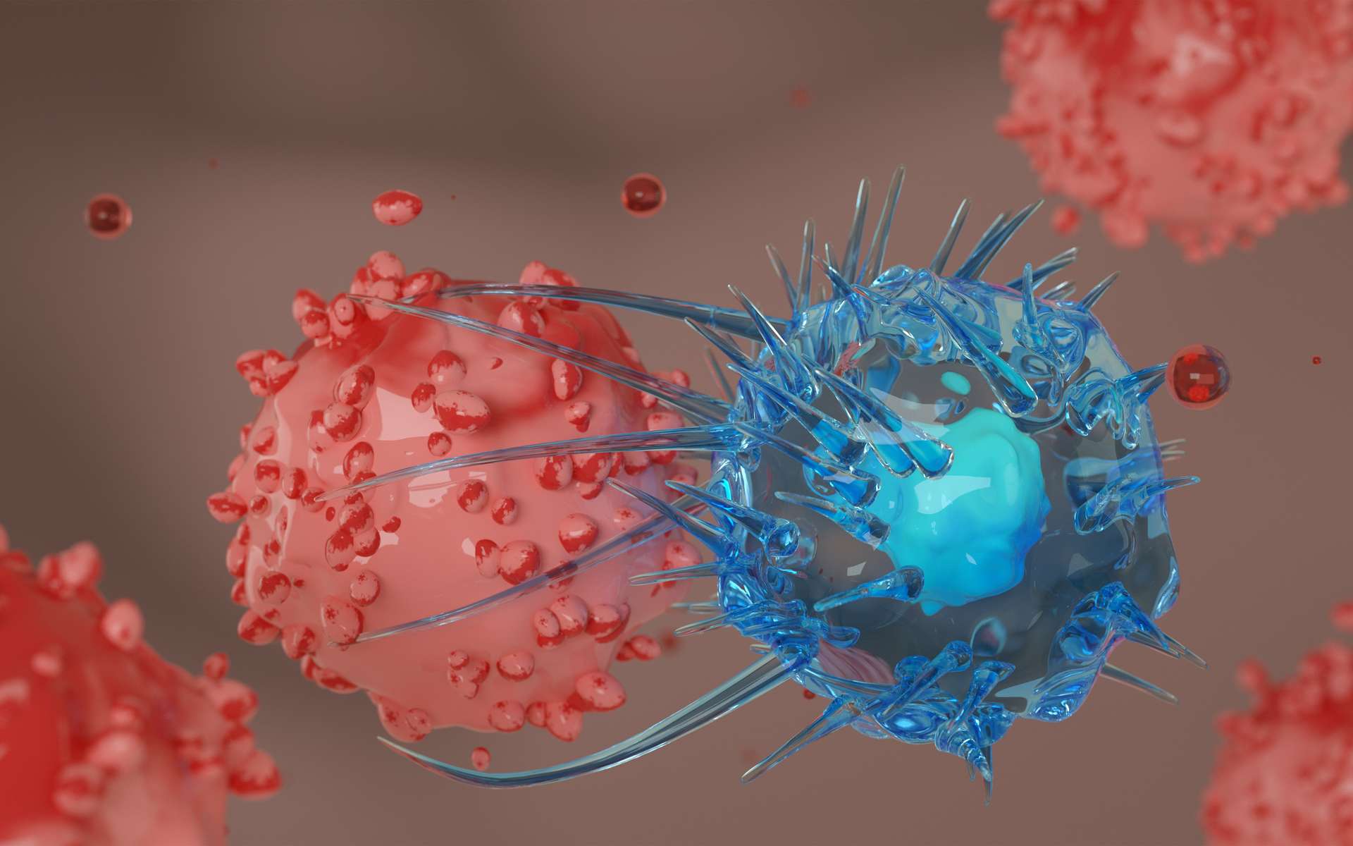 Trop de sucre dans le sang pourrait aider les cellules cancéreuses à se protéger du système immunitaire