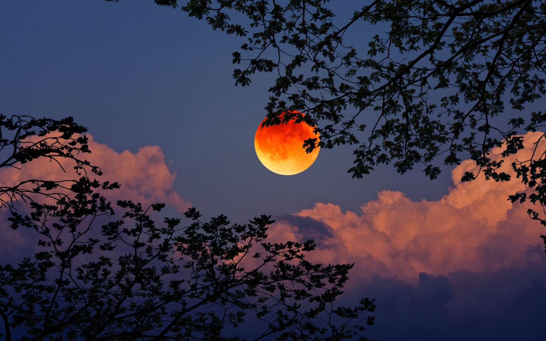 Cette image de l’éclipse de Lune n’est pas comme les autres, et la Nasa s’y intéresse de près