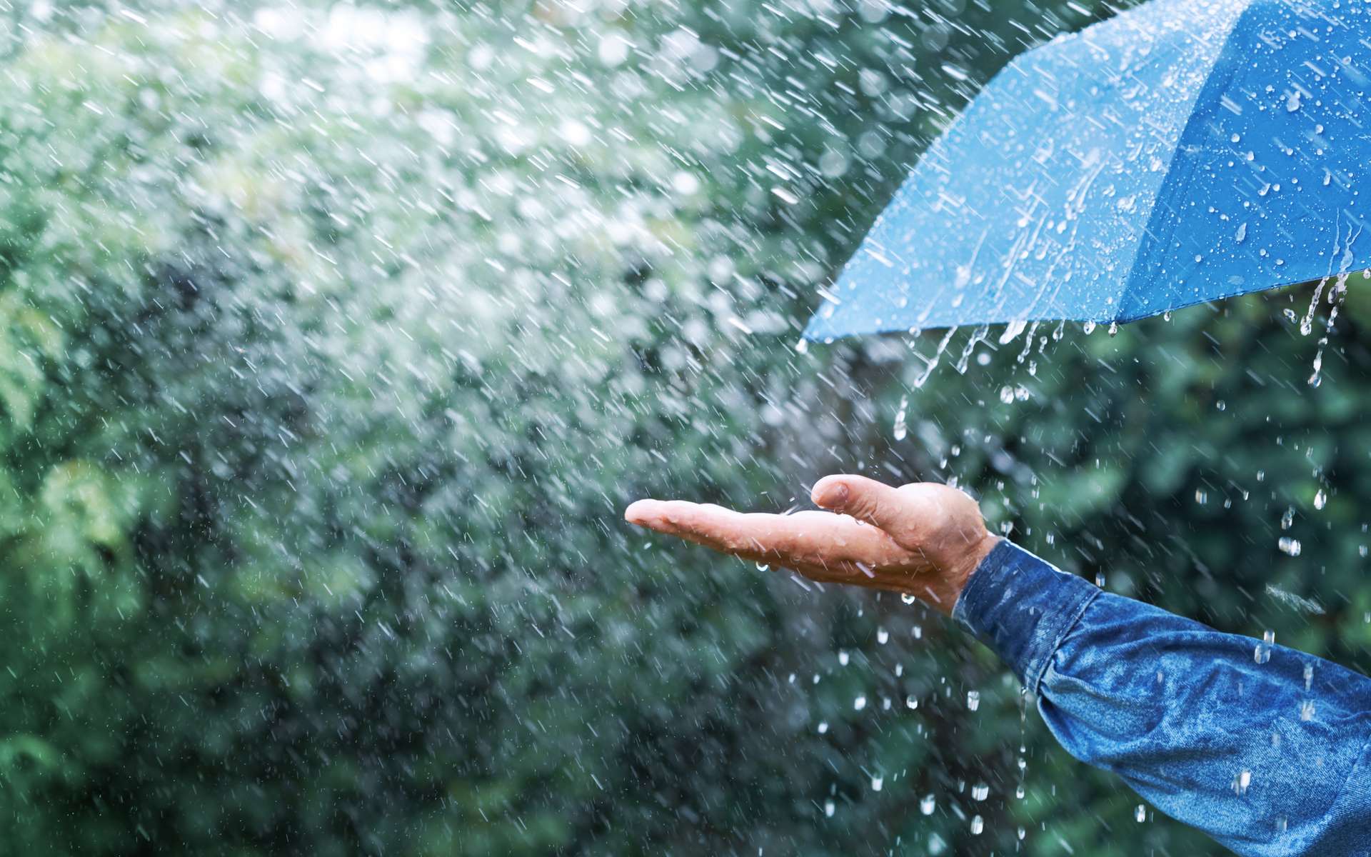 Pluies, douceur, froid : ce que révèlent les dernières simulations météo pour février