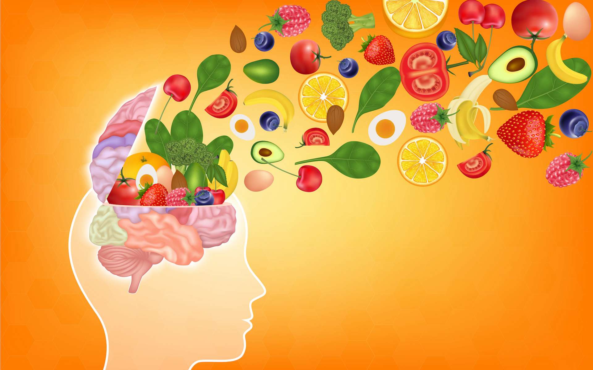 Alzheimer : cet aliment très courant est associé à un risque réduit de 27 % de la maladie dans une vaste étude