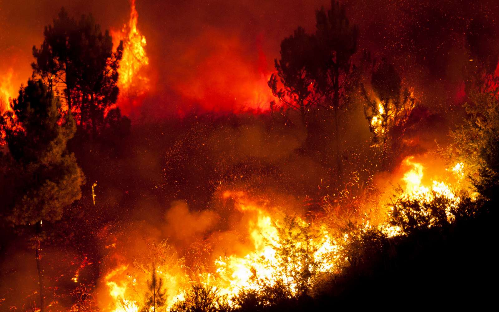 Réchauffement climatique : en 2080, votre région pourrait connaître un climat radicalement différent