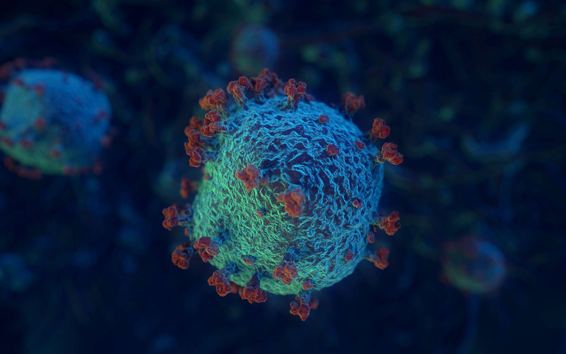 La Méditerranée contient de moins en moins de virus, et ce n'est pas une bonne nouvelle !