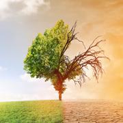 Les conséquences d&#39;un changement climatique s&#39;annoncent nombreuses, tant pour notre planète que pour nos sociétés. © jozsitoeroe, Fotolia