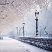 Un froid polaire va concerner l&#39;ensemble de la France la semaine prochaine. © MNStudio, Adobe Stock