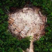 L&#39;humanité a déjà épuisé les ressources annuelles de la Terre : c&#39;est le « Jour du dépassement ». Une des conséquences de notre surconsommation est la déforestation et, avec elle, la destruction d’habitats pour de nombreuses espèces, conduisant à une perte massive de biodiversité. © Daniel Beltrá 2013,&amp;nbsp;Courtesy of Catherine Edelman Gallery, Chicago and the artist
