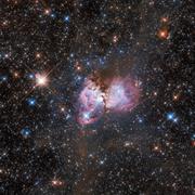 LHA 120-N 150, en lisière de la nébuleuse de la Tarentule, appartient à l’immense nuage qui s’étend sur plus de 1.000 années-lumière. © ESA, Hubble, Nasa, I. Stephens