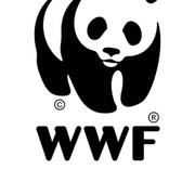 Isabelle Autissier est présidente du WWF France depuis décembre 2009 et a été réélue à ce poste en mars 2012.&amp;nbsp;© WWF