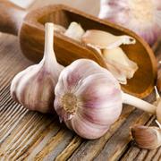 L&#39;ail a de multiples propriétés médicinales, c&#39;est l&#39;ancêtre de l&#39;antibiotique. Il est donc très utile d&#39;en planter dans son potager. © bit24, Fotolia