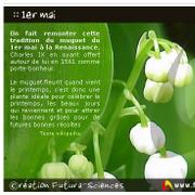 Quelle est l&#39;origine du 1er mai ? Pourquoi offre-t-on un brin de muguet ce jour-là&amp;nbsp;? Voilà une carte virtuelle pour tout savoir sur cette fête.&amp;nbsp;© Futura-Sciences