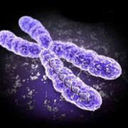 Chromosome X : un dossier complet sur&amp;nbsp;les différentes maladies génétiques liées à ce chromosome sexuel. ©&amp;nbsp;DR