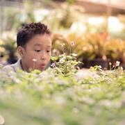 Le développement durable est une conception globalisée de l'économie. © Tatananas, Flickr, CC by-sa 2.0