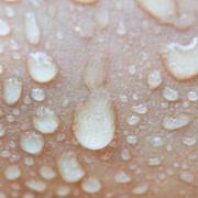 L’Homme et l’eau : une relation étroite et vitale. © Only background, Shutterstock