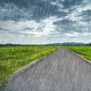Quelles sont les causes des pluies acides ? © geargodz, Fotolia