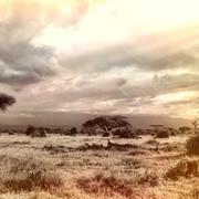 Une vaste région d&#39;Afrique émet des quantités énormes de carbone alors qu&#39;elle est composée de savanes. © cocoparisienne, Pixabay