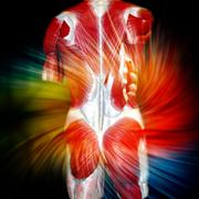 Le mal de dos est souvent d'origine&nbsp;musculaire.&nbsp;© Euskalanato -&nbsp;CC BY-NC 2.0  