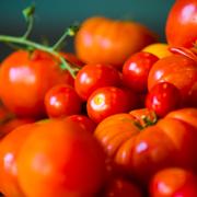 Variétés de tomates provençales. © N. Wong, CC by-nc 2.0