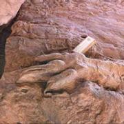 Le site à dinosauriens du Veillon en Vendée
