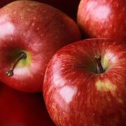 De belles pommes rouges à croquer ! © Ledac, Pikabay,&amp;nbsp;DP