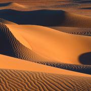Dunes de M&#39;Hamid - Maroc. © Borghy52 - CC BY-NC 2.0