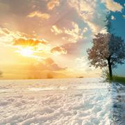 La Niña aura probablement un effet plus marqué sur l&#39;hiver que sur l&#39;été&amp;nbsp;en France. © sorin, Adobe Stock