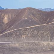 Géoglyphes sur les collines à Palpa, au Pérou. © javarman, fotolia