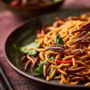 Un avenir durable ? Les vers de farine (Ténébrions), les grillons et les criquets sont parmi les espèces d&#39;insectes les plus prometteuses pour l&#39;alimentation humaine.&amp;nbsp;© Alexandr Bognat, Adobe Stock