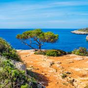 Majorque est la 6e plus grande île de Méditerranée, mais une des plus tardivement colonisées. © tobago77, Adobe Stock