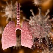 Une molécule connue depuis longtemps présente des effets intéressants dans le cadre de la&amp;nbsp;Covid-19. © AGPhotography, Adobe Stock