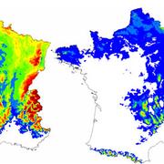 Modification de l’aire de répartition du hêtre en France entre aujourd’hui (à gauche) et 2100 (à droite) suite aux variations climatiques engendrées par le réchauffement. © Inra