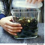 Les aliments doivent être conservés avec précaution pour éviter les intoxications alimentaires. © FOOD-micro, Fotolia