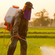 Les agriculteurs sont conscients des dangers des pesticides et préviennent de leur utilisation dans leurs champs. © PiggingFoto, Shutterstock
