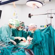 La circulation extracorporelle est utilisée pendant les opérations à cœur ouvert et permet de dériver les flux sanguins en dehors du corps. © ChaNaWiT, Shutterstock