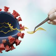 L&#39;ARN messager, une technologie qui a permis l&#39;élaboration des vaccins anti-Covid-19 Pfizer-BioNtech et Moderna. © vchalup, Adobe Stock