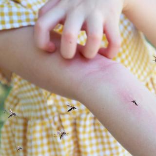 Allergie cutane | Futura Sant