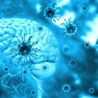 A doença de Alzheimer pode ser desencadeada por uma infecção viral? © Rasi, Abode Stock