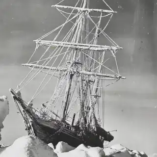 Bajo el hielo de la Antártida, miles de nidos perfectamente organizados intrigante a los científicos