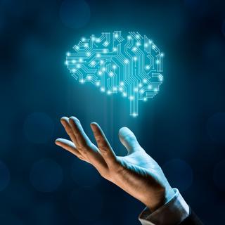 Le deep learning s'inspire directement du cerveau humain pour que la machine apprenne seule à partir de millions d'exemples. © Jakub Jirsák, Fotolia