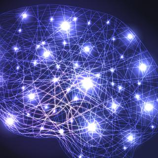 Os pesquisadores desenvolveram um algoritmo capaz de determinar o QI de uma pessoa a partir de uma ressonância magnética do cérebro em repouso. © pict rider, Fotolia