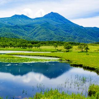 A Península de Shiretoko, a nordeste de Hokkaido, a ilha mais ao norte do Japão. A interação dos ecossistemas marinhos e terrestres, a elevada produtividade biológica e o gelo marinho sazonal criam um ambiente muito especial. É o lar de espécies endêmicas e ameaçadas de extinção, como o ketupa de Blakiston e a planta Viola kitamiana, bem como aves migratórias, numerosos salmonídeos e mamíferos marinhos, incluindo o leão-marinho de Steller. © CC-by-sa igo 3.0 Unesco