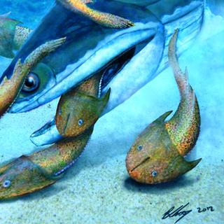 No Mar Siluriano, Megamastax amblyodus deve ter sido um predador formidável. Na representação deste artista, vemos ele devorando um peixe blindado sem mandíbula chamado Dunyu longiforus. ©Brian Cho