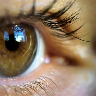 Que se passe-t-il dans le cortex visuel d'un aveugle de naissance ? © scaliger, Fotolia&nbsp;