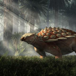 Les ankylosauridés étaient des dinosaures quadrupèdes cuirassés se nourrissant de végétaux. Ils sont particulièrement célèbres pour leur queue armée d'une masse. Rendu 3D d'un paisible ankylosaure au milieu d'une clairière. © Daniel Eskridge