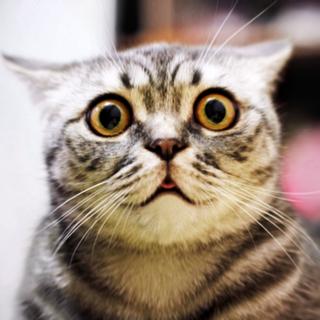 O infra-som pode ser a causa de muitas experiências paranormais. © Momento Real, Adobe