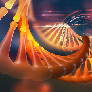 Le système CRISPR permet des modifications génétiques et épigénétiques. © Siarhei, Adobe Stock