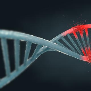 A obesidade é uma doença na qual a genética desempenha um grande papel. © Christoph Burgstedt, Fotolia