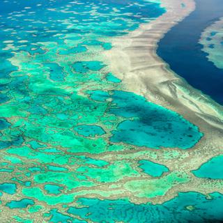 La Grande Barrière de Corail est le plus grand écosystème corallien du monde. © Superjoseph, Adobe Stock