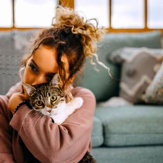 Votre chat vous fuit ? Ce geste tout simple pourrait tout changer. © Pekic, iStock