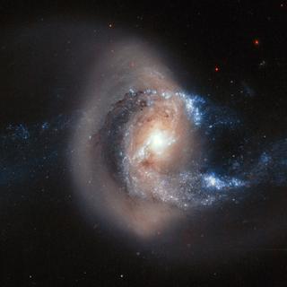 A 100 milhões de anos-luz de distância, NGC 7714 é uma galáxia espiral que ainda sofre uma colisão com uma galáxia menor. ©ESA, NASA