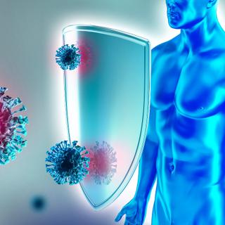 Être vacciné puis infecté procurerait une super immunité contre la Covid-19. © Bikej Barakus, Adobe Stock